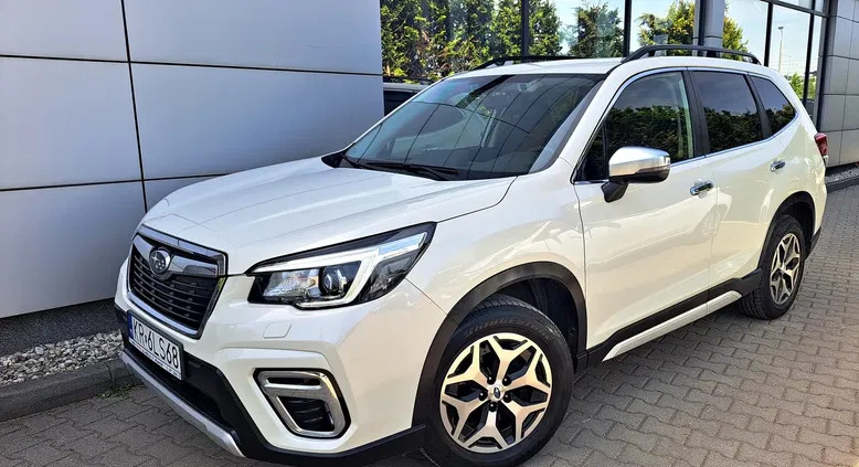 subaru wąchock Subaru Forester cena 119700 przebieg: 40300, rok produkcji 2019 z Wąchock